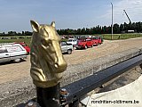 Zandlemig Vlaanderen